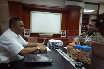 Bupati Nunukan akan temui pedagang lintas batas terkait PP 34/ 2019