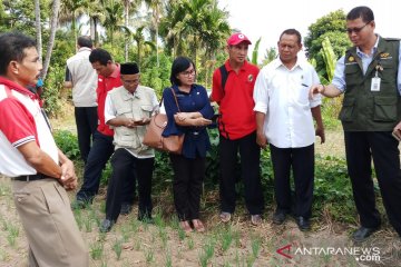 Petani Lombok Utara optimis dengan program Korporasi Kementan