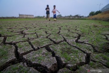 29.913 hektare sawah di Jawa Barat  terdampak kekeringan