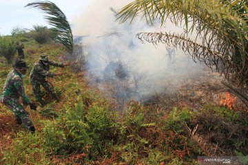 Kebakaran lahan gambut di Nagan Raya, Aceh