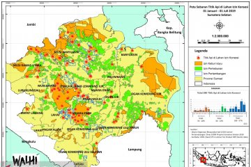 Titik api di wilayah Sumsel berfluktuasi