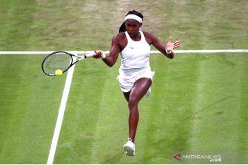 Rybarikova korban kedua petenis muda Gauff di Wimbledon