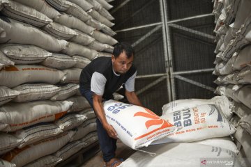 Bulog bangun pengolahan beras dan penyimpanan jagung moden di NTB