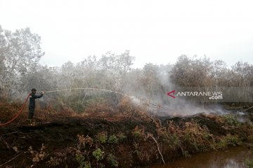 Kebakaran hutan di Aceh Barat mulai padam