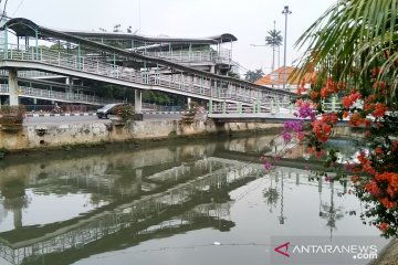 Pemkot Bogor telusuri sumber limbah medis terapung di Sungai Ciliwung