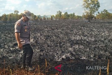 Lahan terbakar bisa dikembalikan kepada negara