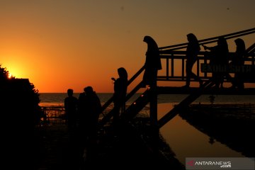 Banyuasin akan kembangkan Pulau Ekor Tikus destinasi ekowisata