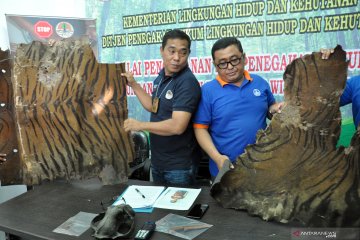 Kasus perdagangan kulit harimau