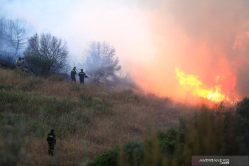 Warga dua desa di Yunani dievakuasi akibat kebakaran hutan