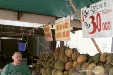 Durian mulai banjiri Pulau Bintan