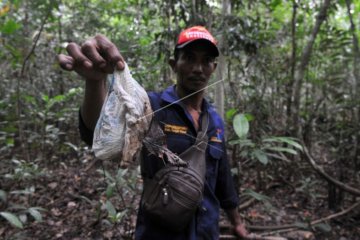 Sampah  ancam kawasan TNBS