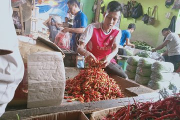 Sejumlah sayur-mayur di Pasar Induk Kramat Jati merangkak naik