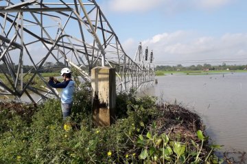 Angin kencang ganggu jalur transmisi PLN di Musi Banyuasin