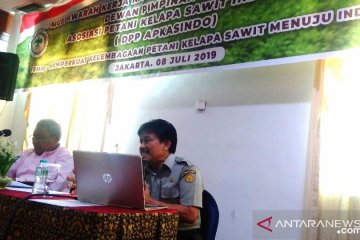 Apkasindo harapkan alokasi dana sawit untuk petani meningkat