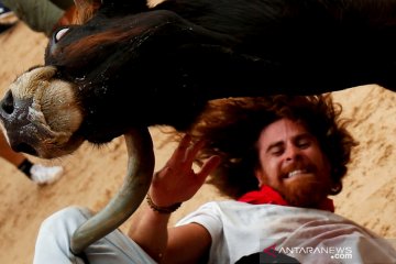 Meski risiko diseruduk banteng, peserta antusias ikuti festival San Fermin di Spanyol