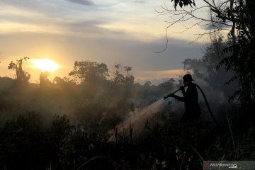 Kebakaran hutan dan lahan di Aceh semakin meluas