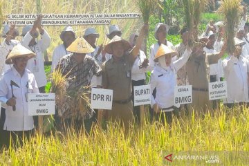 SLI di Temanggung tingkatkan produktivitas padi 9,7 persen