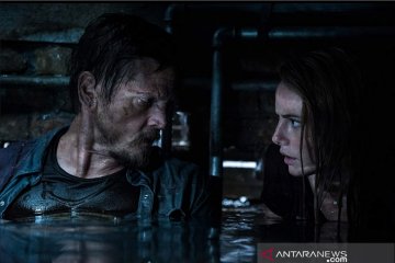 "Crawl" tayang serentak hari ini