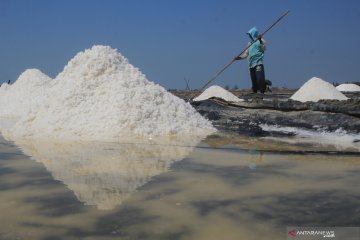 Garam diusulkan masuk kembali jadi kebutuhan pokok, ini alasannya