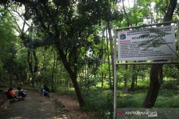 Selama kemarau, Hutan Kota Srengseng andalkan waduk untuk pengairan