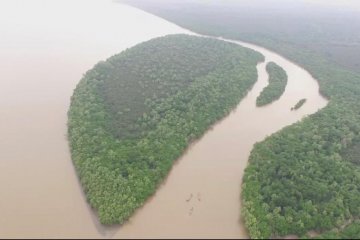 Kabupaten Banyuasin miliki pulau mirip seperti di Raja Ampat