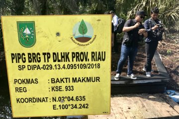 BRG segera tambah infrastruktur pembasahan gambut di Riau