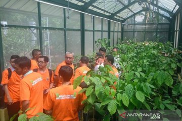 DKI Jakarta tambah 500 kader pertanian kota