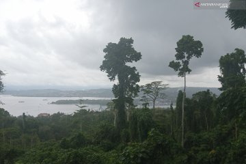 BMKG keluarkan peringatan dini gelombang tinggi Laut Pasifik