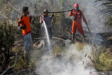 Manggala Agni berjuang padamkan kebakaran lahan gambut di Kampar