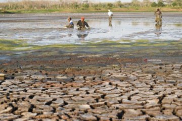 Kemarau, air Waduk Gonggang Magetan volumenya alami penyusutan