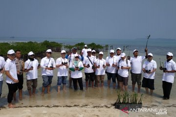 Dukung konservasi alam Kepulauan Seribu, BUMN reasuransi tanam mangrove dan transplantasi terumbu karang