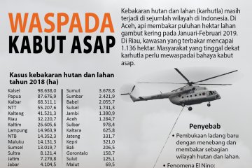 Waspada kabut asap