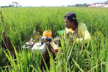 Pertamina imbau elpiji 3 kg tidak digunakan untuk pompa air