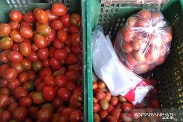 Pedagang Pasar Induk Kramat Jati belum bisa gantikan kantong plastik