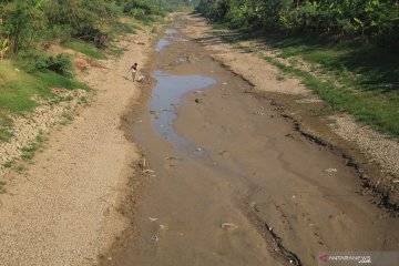 Sungai Cipanas mengering