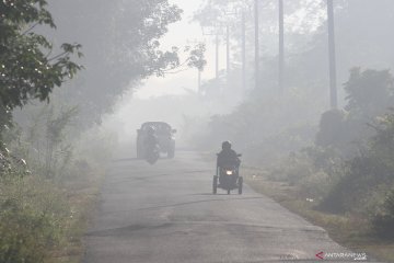 Hingga pertengahan Juli, lebih 30 hektare hutan dan lahan terbakar