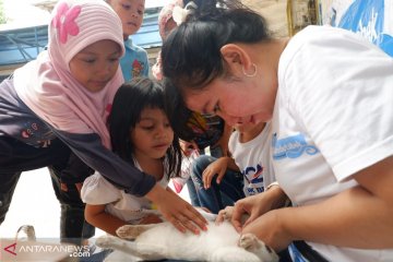 Aktivis kampanye cegah penyiksaan terhadap kucing kepada anak-anak