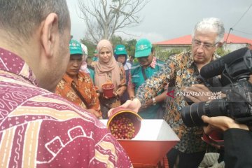Wagub: Sumut harus jadi produsen kopi terbesar di Indonesia