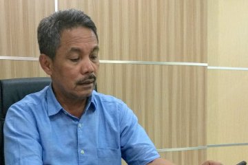 Petani sawit perlu asuransi jaga produksi nasional