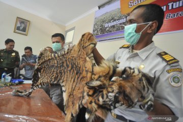 Penyelundupan kulit harimau Sumatera