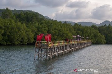 Wisata mangrove kelompok tani hutan