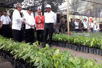 Kementan siapkan Kalteng sebagai lumbung perkebunan dan hortikultura