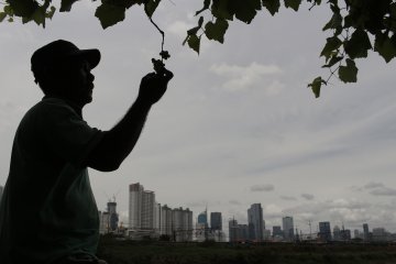 Menyemai kebaikan di pinggiran ibu kota