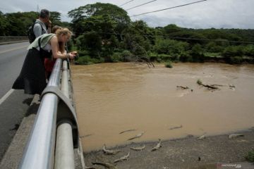 Sungai Dengan Populasi Buaya Terpadat di Dunia