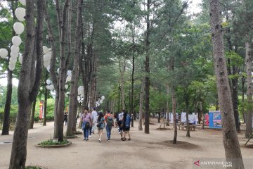 Pesona Nami Island pada musim panas Korea