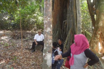 Geopark Bukit Penyabung Dari Kampung Menuju Wisata Internasional Antara News