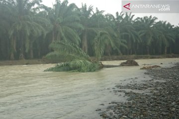 LSM : Eksploitasi SDA sebab utama banjir bandang di Banggai