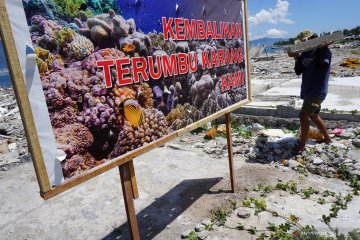 Transplantasi terumbu karang di lokasi bekas terdampak tsunami