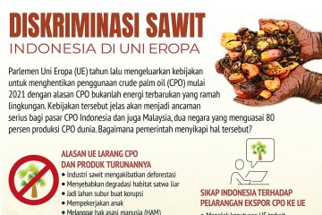 Diskriminasi Sawit Indonesia di Uni-Eropa