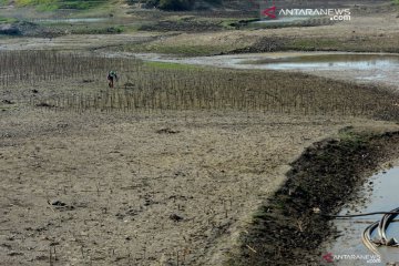 Kekeringan bukan lagi bencana bagi NTT